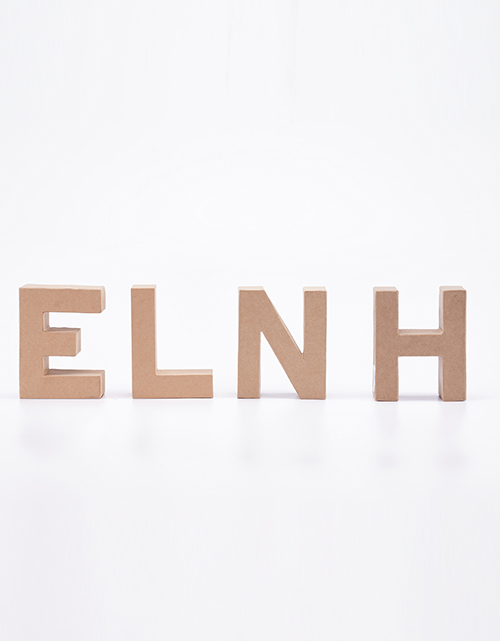 环保纸浆托工艺品